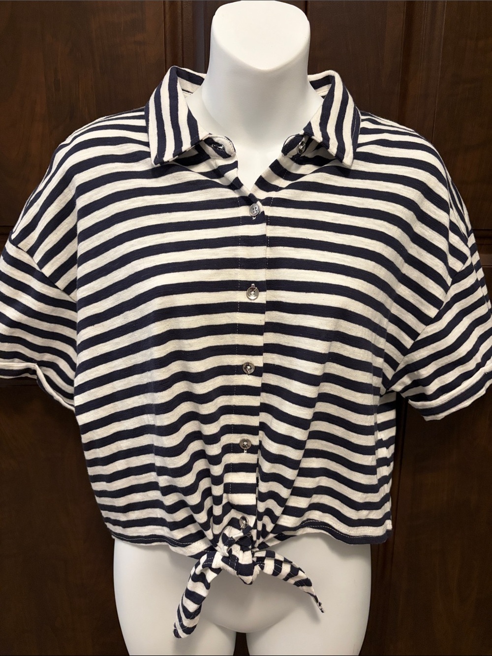 Splendid Navy and White Striped Button Front Top with Tie